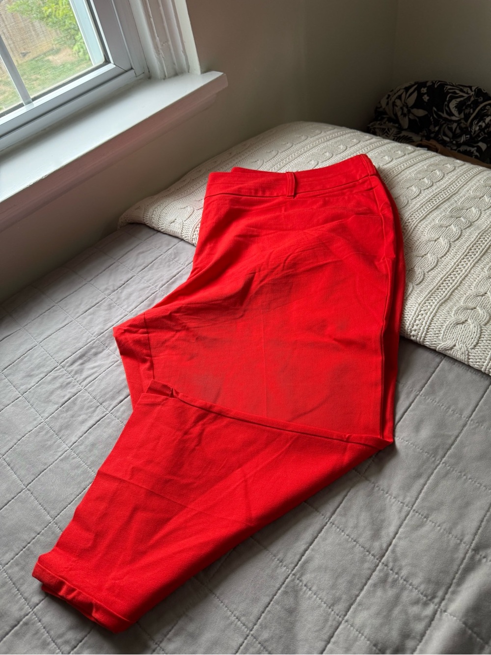 Lane Bryant Ankle Pants - Stretchy - Like New - 26